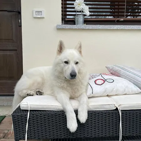 Апартаменты Casa